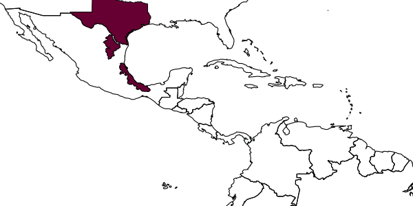 map of Psorthaspis macronotum  cressoni   Bradley, 1944